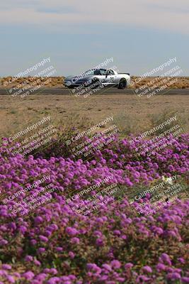 media/Jan-08-2023-SCCA SD (Sun) [[8f6a5b9391]]/Intermediate Group/Session 2 (Short Straight)/